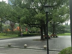 -御花园·粤菜·海鲜火锅(中山公园店)