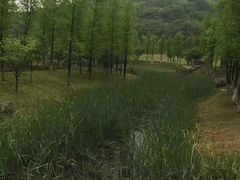 -南山风景名胜区