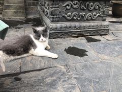 -长春观