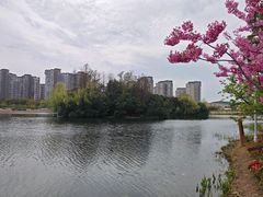 -新江湾城公园