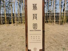 -诗经里