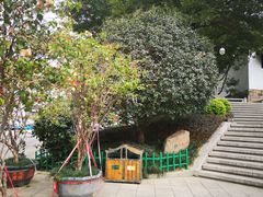 -乌山风景区