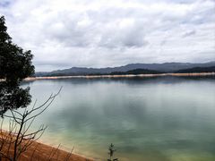 -广州市流溪河国家森林公园