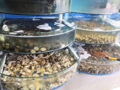 -蓝珊甄选海鲜自助·火锅大排档(近阿那亚店)