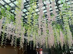 -阿鹏故事云南野生菌火锅(人民路店)