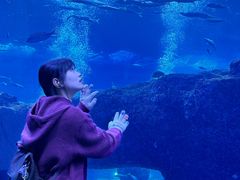 -成都浩海立方海洋公园