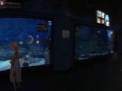 -烟台海昌鲸鲨海洋公园