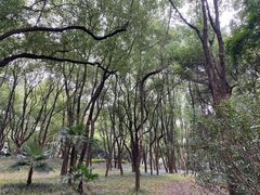 -东湖落雁景区