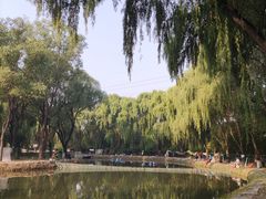 -古塔公园