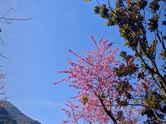 -颛顼龙洞旅游景区