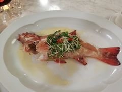 -伯衡55·吉品轩(乌鲁木齐南路店)