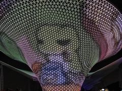 -上海中医药大学-食堂