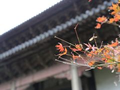 -孔庙学宫