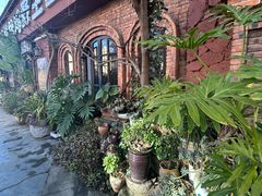 -菌山里·野生菌猪肚包鸡(阳光花园店)