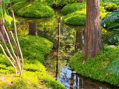 -成都市活水公园