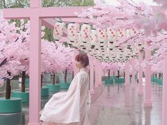 -金茂览秀城