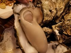 -土蚝·高压锅生蚝(百姓美食街店)