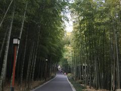 -穹窿山景区