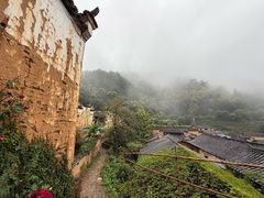 -杨家堂村