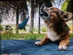 -丁香湖公园