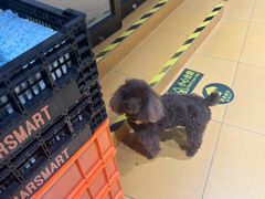 -MARSMART PETS火星宠物超市(1733店)