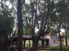 -顺峰山公园