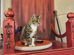 -逃脱反斗城沉浸剧情密室(北京路店)