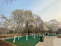 -睦南公园