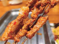 -福苗小骆驼烧烤(莲湖路店)