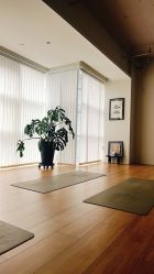 -阿南达·瑜伽普拉提·阿育吠陀疗愈中心