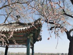 -颐和园