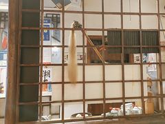 -风波庄(罍街分舵)