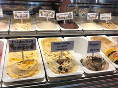 -Dooley's Premium Ice Cream