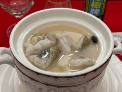-新锦鸿(演达店)