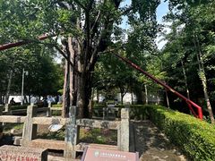 -上海佘山国家森林公园天马山园