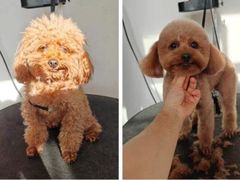 -熊小胖宠物生活馆(天华园店)