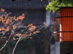 -黎里古镇