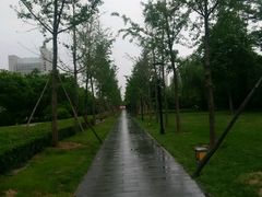 android_upload_pic-唐城墙遗址公园
