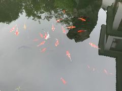 -苏州冶园园林民宿(太湖西山风景区店)