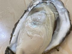 -北方饺子王·海肠捞饭·海鲜锅(山大店)