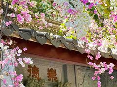 -深圳国际园林花卉博览园