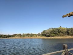 -溱湖国家湿地公园