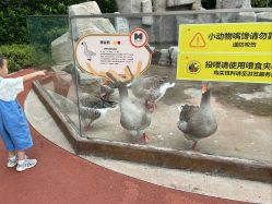 -造物庄园 萌宠纪(苏州湾歌林公园店)
