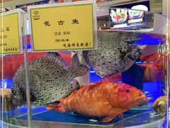 -新海渔港·胶东海鲜家常菜·家宴(奥体中心店)