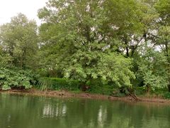 -婺源月亮湾