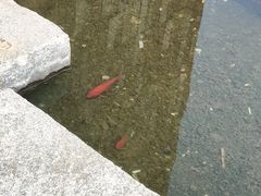 -御泉七味铁板烧(高区店)