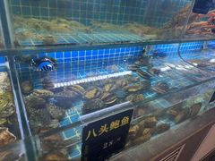 -鸽子侯·家宴·平价海鲜(市图书馆店)