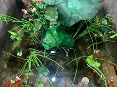-灶东家民间菜(回兴店)
