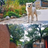 带妈妈去房山看红叶住精美民宿