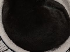 -白夜2D咖啡馆